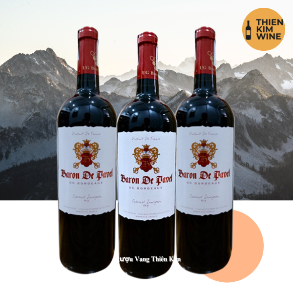 Vang Pháp Baron De Pavel Cab Sau 13,5%