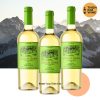 Vang Pháp Chales Gary Sauvignon Blanc 13%