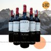 Vang Chile La Roca Cab Sau 13,5%