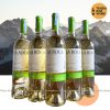 Vang Chile La Roca Sau Blanc 13%