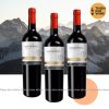 Vang Chile Marino Cabernet Sauvignon 13,5%